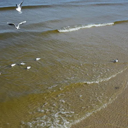 Prázdninový dům Haus Moevenort Lutow